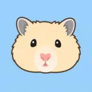 Dの画像