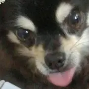 noanoaの画像