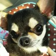 にゃろめ☆即購入大歓迎☆の画像