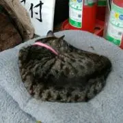 Kana　☆プロフ必読☆