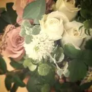 gardenの画像