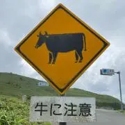 潮風小僧