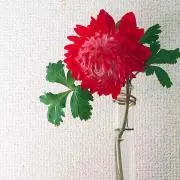 Hare-haruの画像