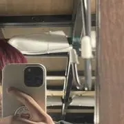 サラダチシンの画像