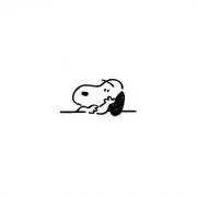 peanuts.の画像