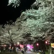 るいの画像