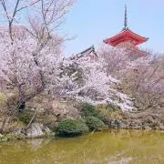 すみの画像