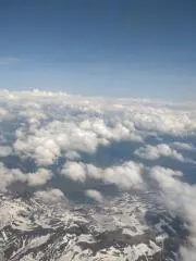 まめたんの画像