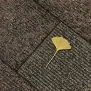 らびっと島の画像
