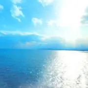 ぽてとの画像
