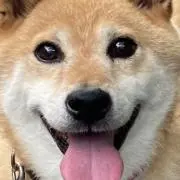 ARICOの画像