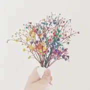 さの画像