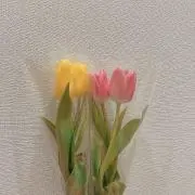 A.Mの画像