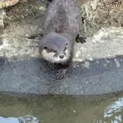 こうたの画像