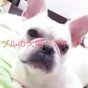 大福☆