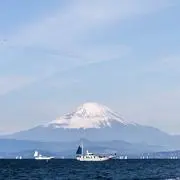 ピコ