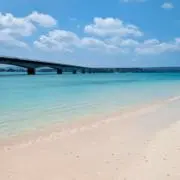 ラルの画像