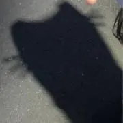 ねっこーの画像