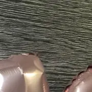 ナナの画像