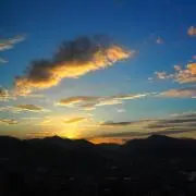 ともの画像