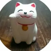 ささこ(*^^*)