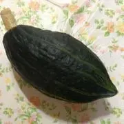 かぼちゃ