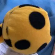めぐみ