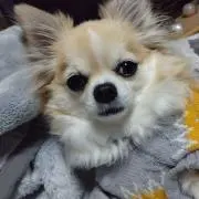 みいママの画像