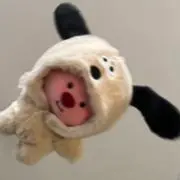 Shinの画像