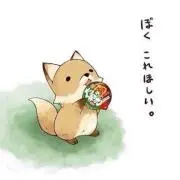 ライト