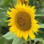 みき・丁寧対応⭐︎即日発送♪の画像