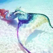 あんりこ