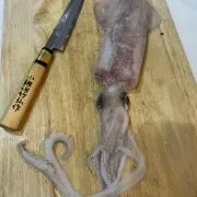 バオバブ