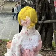 わかの画像