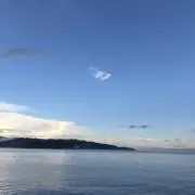 りーの画像