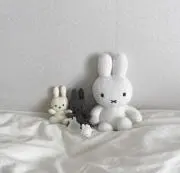 ポンセの画像