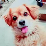 とも
