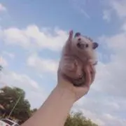 ふみ