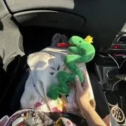 muuの画像