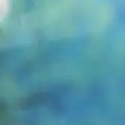 みどりの画像