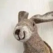 とらさぶ