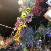 nkの画像