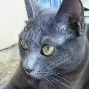 ムヒカの画像