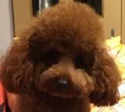 Rockの画像