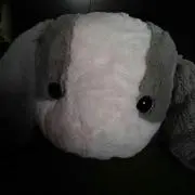 りぼん。少しの間休止します
