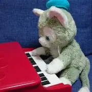 ジェラコーニの画像