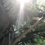 あんぽんちゃんの画像