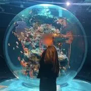 たこなすの画像