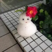みゆとの
