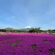 naaaaの画像